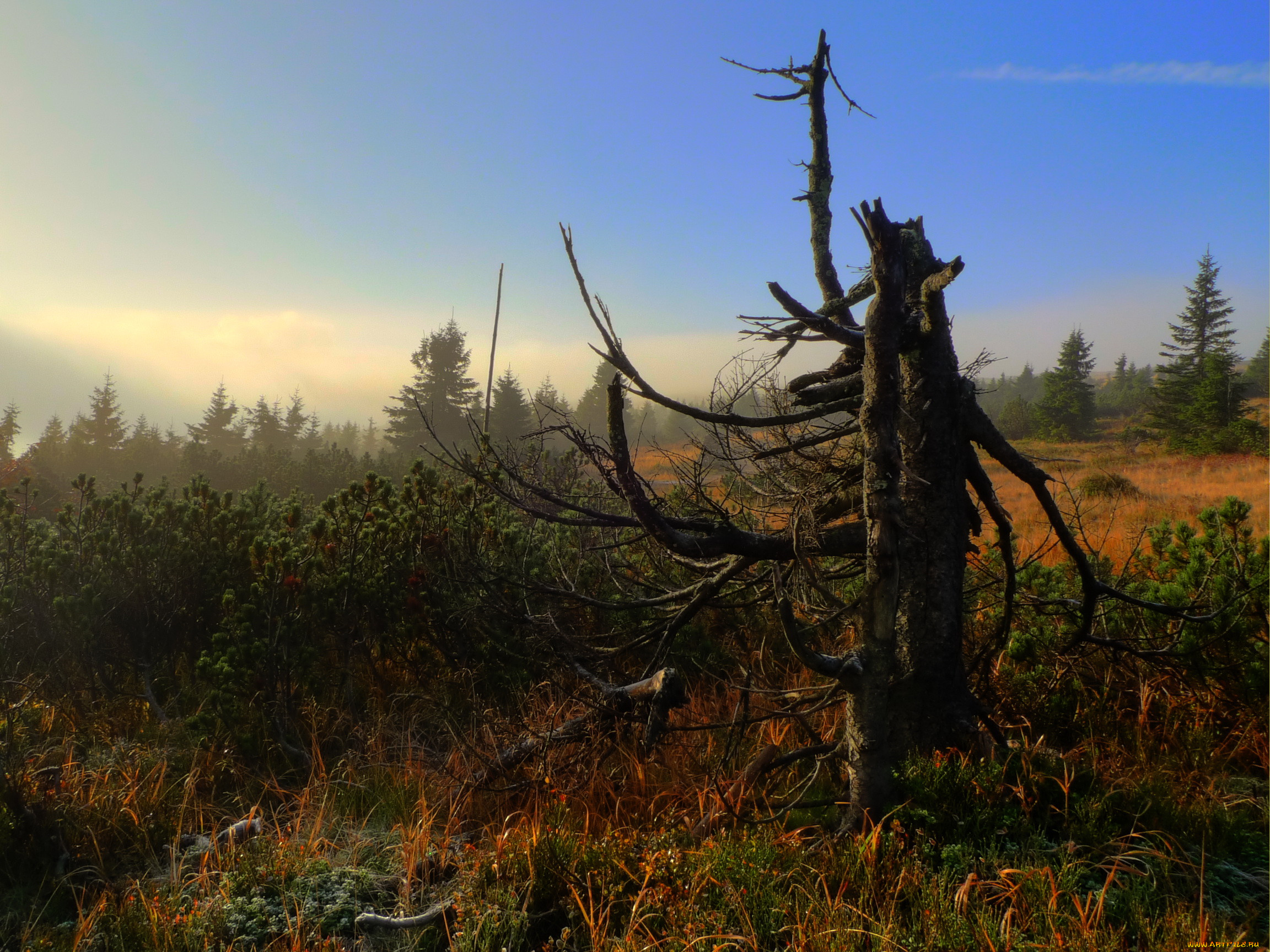 krkono&, 353, national, park, czech, republic, , , 